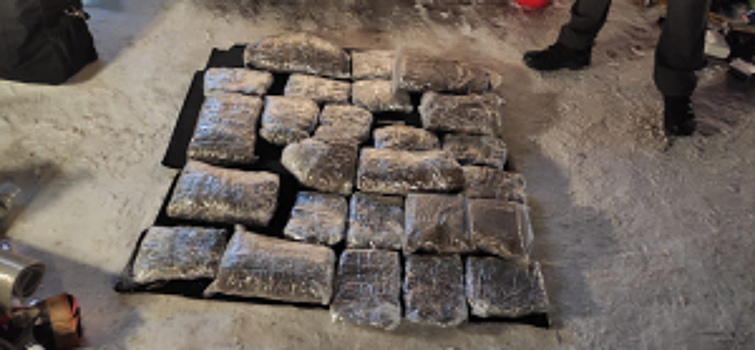 В Югре полицейские изъяли из незаконного оборота более 10 кг наркотических средств