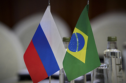 Россия и Бразилии работают над улучшением экологии в Амазонии и Сибири