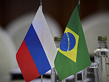 Россия и Бразилии работают над улучшением экологии в Амазонии и Сибири
