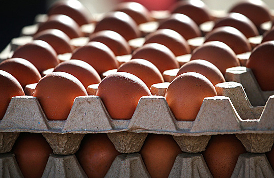 Генпрокуратура проверит цены на куриные яйца