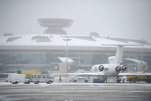 В аэропорту «Внуково» пресекли ввоз небезопасных продуктов в ручной клади иностранцев