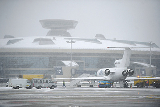 Жителям Подмосковья рекомендовали выезжать в аэропорты заранее из‑за снегопада