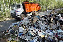 В Подмосковье устроили «засаду» для любителей мусорить на дорогах
