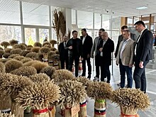 Кубанские зерноводы обменялись опытом с гостями из Республики Сербской