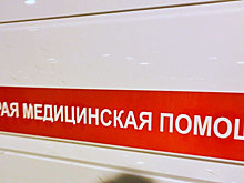 При столкновении фуры и микроавтобуса в Ленобласти пострадали 12 человек