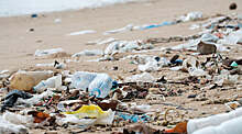 Хавбек «Барсы» Педри: «Когда я иду на пляж, то собираю мусор. Мы должны спасти нашу планету»