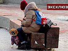 Кинолог рассказал, какие угощения с новогоднего стола можно дать собаке
