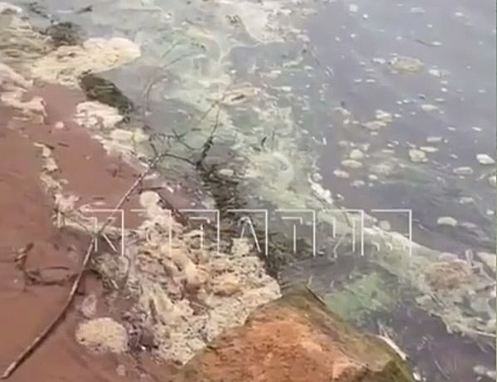 Нижегородцы бьют тревогу из-за загрязнения Волжской набережной
