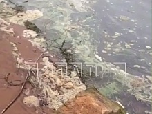 Нижегородцы бьют тревогу из-за загрязнения Волжской набережной