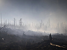 Ситуация с пожарами в Волгоградской области стабилизировалась