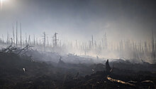Более 130 человек тушат лесной пожар в Казахстане с участием техники