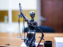 Житель Домодедово за девять краж получил три года восемь месяцев колонии