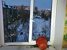 Из-за взрыва самогонного аппарата в Южноуральске прокуратура проводит проверку