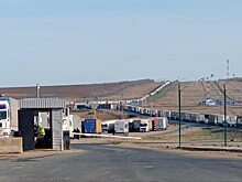 Больше 750 фур стоят на границе России и Казахстана