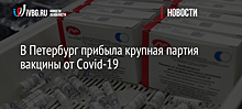 В Петербурге более 495 тыс. человек привились от коронавируса