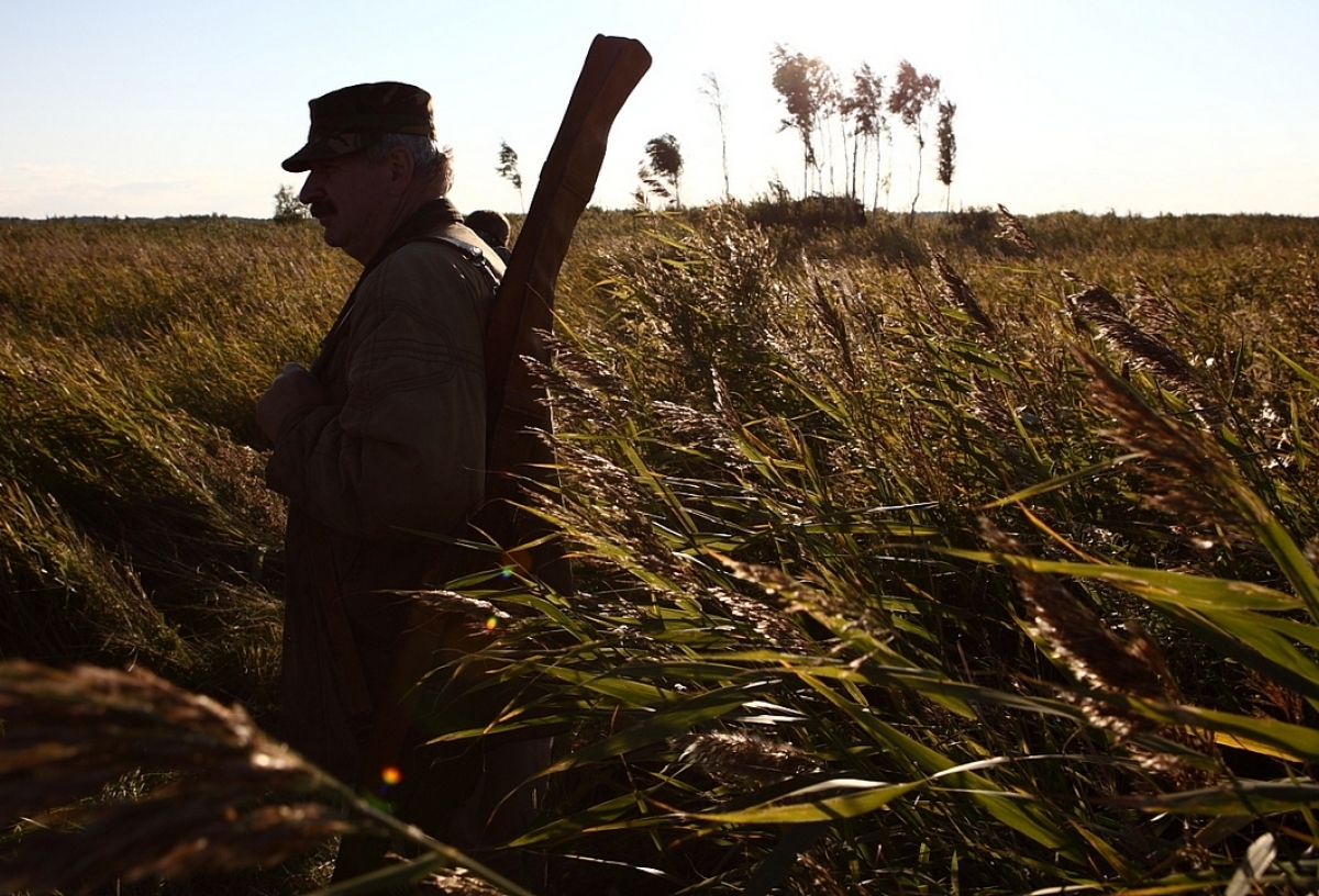 В Омской области на торги выставили шесть охотничьих угодий