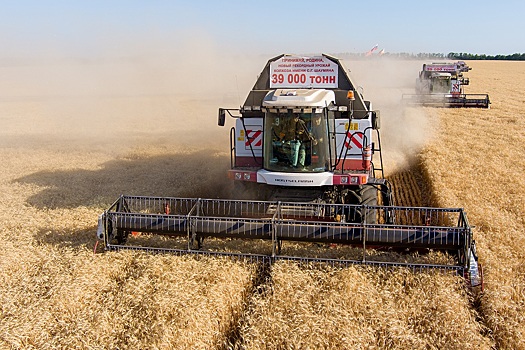 Аграрии Дона убрали урожай более чем с 90% площади зерновых и зернобобовых культур