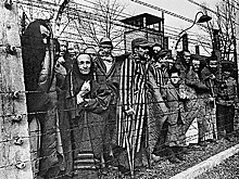 Останки более тысячи узников гетто обнаружили в Бресте