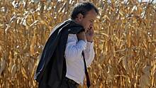 Турция и Египет вынудили Минсельхоз снизить прогноз по экспорту зерна