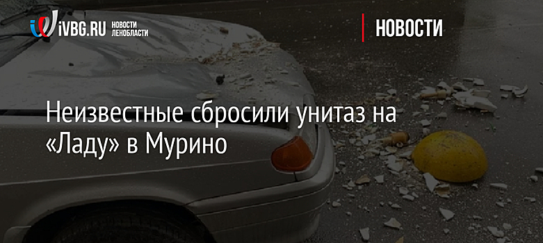 Неизвестные сбросили унитаз на «Ладу» в Мурино