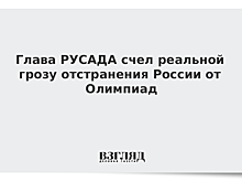 Глава РУСАДА счел реальной грозу отстранения России от Олимпиад
