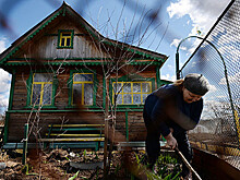 Сервис по "дачному" голосованию заработал на mos.ru