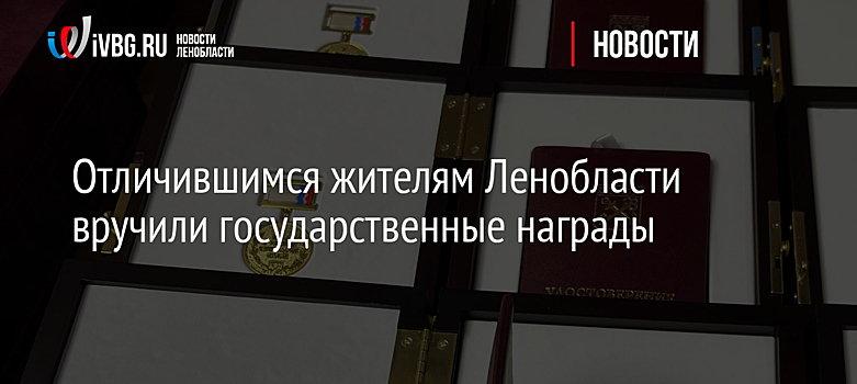 Отличившимся жителям Ленобласти вручили государственные награды