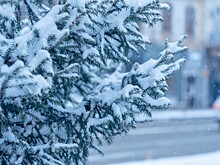 К новому морозному удару готовится Краснодарский край