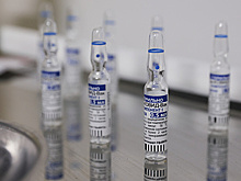 Укрепление экономических связей России и Германии обсудят на ПМЭФ