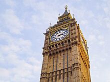 Обилие крыс в британском парламенте не позволило завести там кота