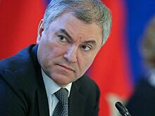 В 2021 году Володин направил более 70% дохода на благотворительность