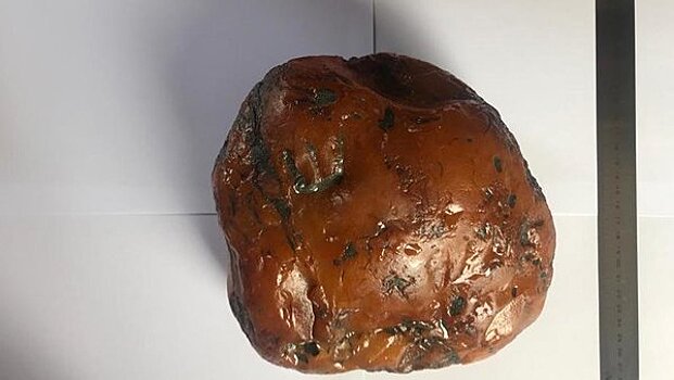 20 янтарных великанов: какие камни нашли в Калининградской области за год