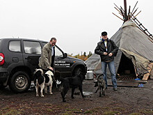 Закупка лимузинов для сельхозпереписи окончилась взысканиями