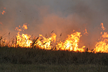 В Ставропольском крае потушили природный пожар площадью 20 гектаров