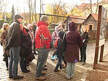 В Калининградском зоопарке сов переселили в новый вольер