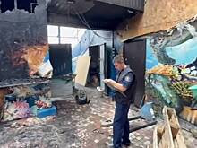 Следователи заинтересовались мощным пожаром на крокодиловой ферме в России