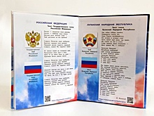 В ЛНР выпустили уникальные дневники для школьников