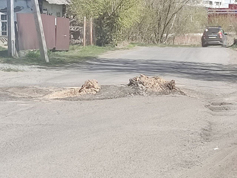 Кемеровские дорожники срежут "восставшее из ада нечто"