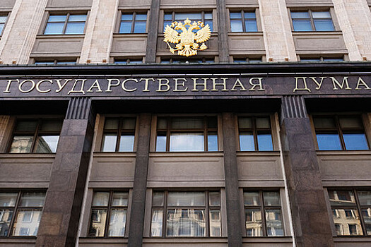 В Госдуме поддержали инициативу Минцифры по повышению цифровой грамотности населения