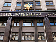 В Госдуме поддержали инициативу Минцифры по повышению цифровой грамотности населения
