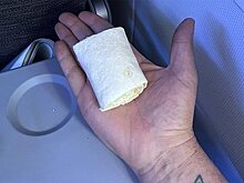 Турист получил за семичасовой полет всего один сэндвич и удивился его размеру