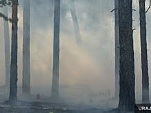 Челябинские чиновники набирают волонтеров для тушения природных пожаров