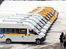 Парк социального транспорта Нижегородской области пополнили 30 автомобилей
