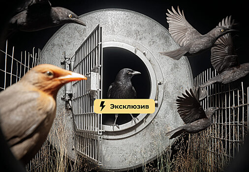 Оберег от прокурора. Почему российские бизнесмены осваивают личные фонды