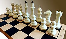 Ученица школы имени М.М. Ботвинника смогла стать международным шахматным мастером