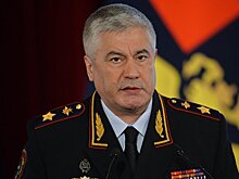 Глава МВД держит на контроле дело "пьяного" мальчика