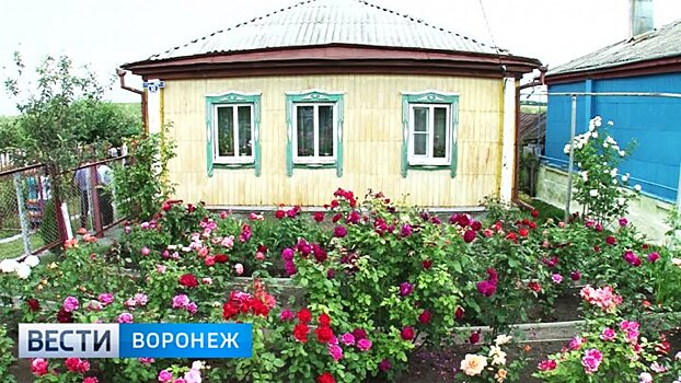 В Воронежской области стартовал конкурс на «Самое красивое село»