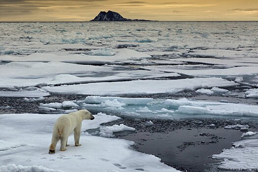 PNAS: Однажды Земля уже пережила глобальное потепление