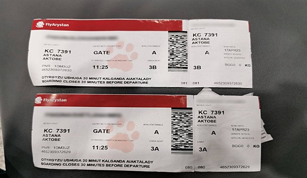 Россияне провели сутки в аэропорту Астаны в ожидании решения от Fly Arystan