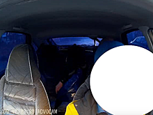 Пьяная жительница Дзержинска устроила разборки в такси под песню «Чижа»
